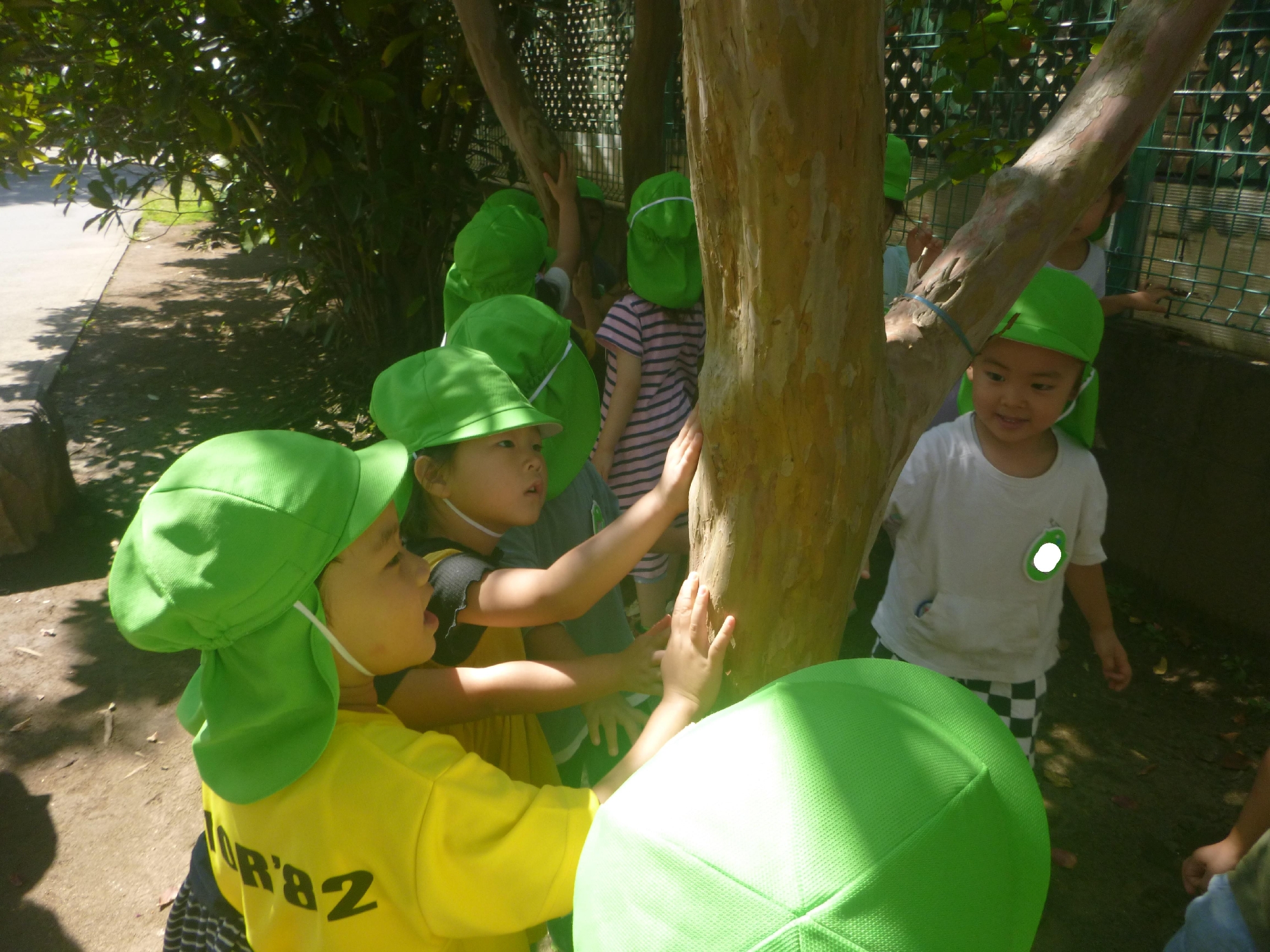 年少組　散策に行ってきましたよ